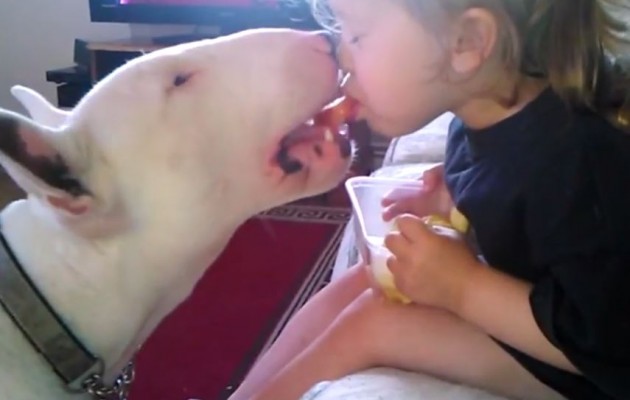 Μικρό παιδί ταΐζει τον σκύλο στο στόμα (βίντεο)