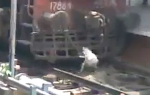 Τρένο περνάει πάνω από σκύλο και… επιζεί (βίντεο)