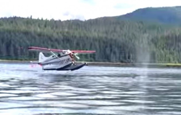 Αλάσκα: Υδροπλάνο παραλίγο να προσγειωθεί πάνω σε… φάλαινα (βίντεο)