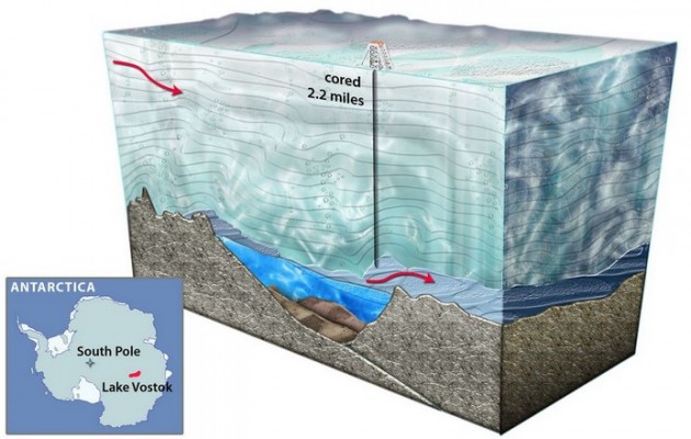Κι όμως, υπάρχει ζωή κάτω από την επιφάνεια της Ανταρκτικής
