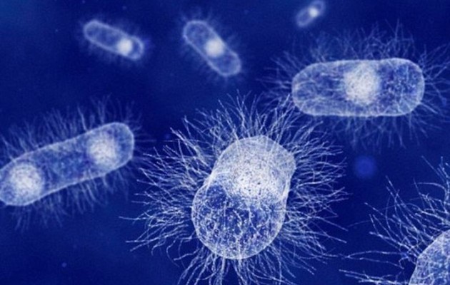 Tα παιδικά καθίσματα στο αυτοκίνητο είναι πιο βρώμικα από την τουαλέτα