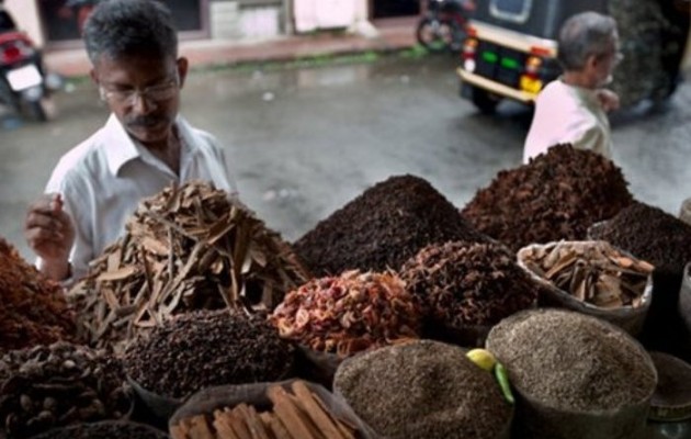 Τόνους καρυδόψιχας και κανέλας με μύκητες “μπλόκαραν” στον Πειραιά