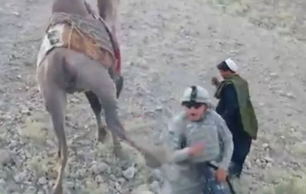 Οι ανυπότακτες… καμήλες της Μέσης Ανατολής (βίντεο)