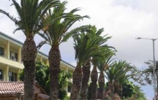 Τραγικός θάνατος 48χρονης μητέρας: Έπεσε από το μπαλκόνι του ξενοδοχείου που δούλευε