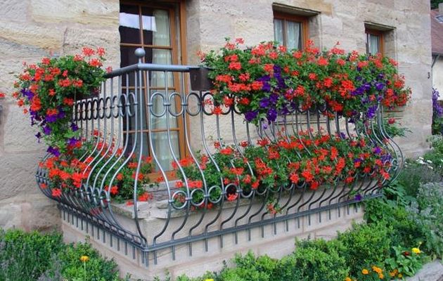 Πώς θα επιβιώσουν τα φυτά μας όταν θα φύγουμε διακοπές