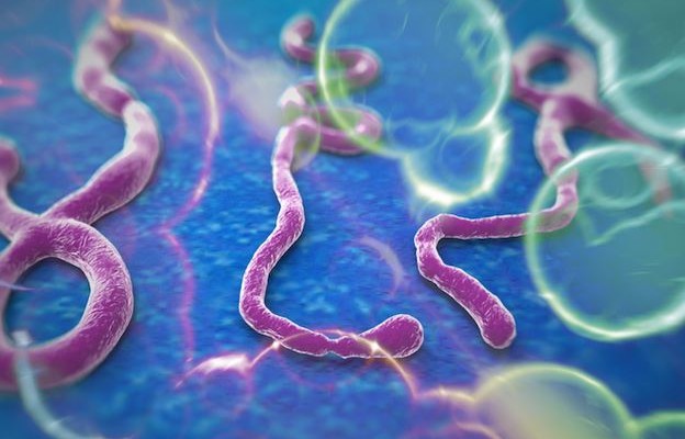Έμπολα: Ο ιός του Ζαΐρ που σκορπά πανικό σε όλο τον κόσμο