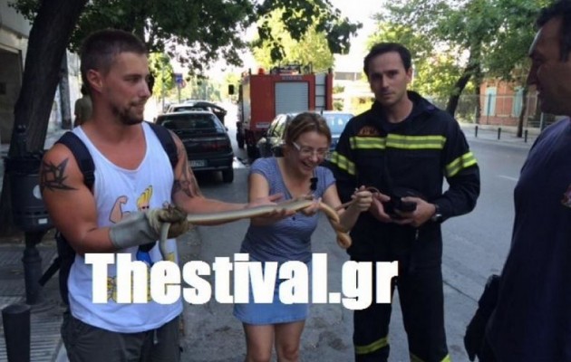Έπιασαν φίδι 2,5 μέτρων στο κέντρο της Θεσσαλονίκης (φωτογραφίες)
