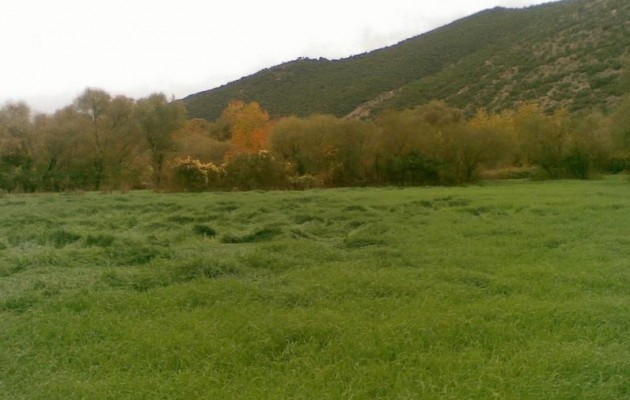 ΕΝΦΙΑ: Κολωνάκι η… Κλειτορία Καλαβρύτων