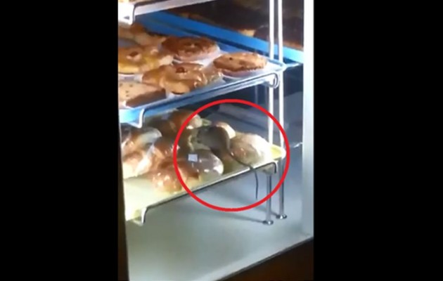 Βίντεο: ποντίκι κόβει βόλτες σε βιτρίνα… φούρνου