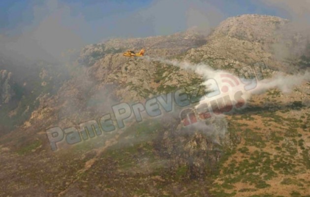 Πυρκαγιά έκαψε πάνω από 180 στρέμματα στην Πρέβεζα – σε εξέλιξη επιχείρηση κατάσβεσης (εικόνες)