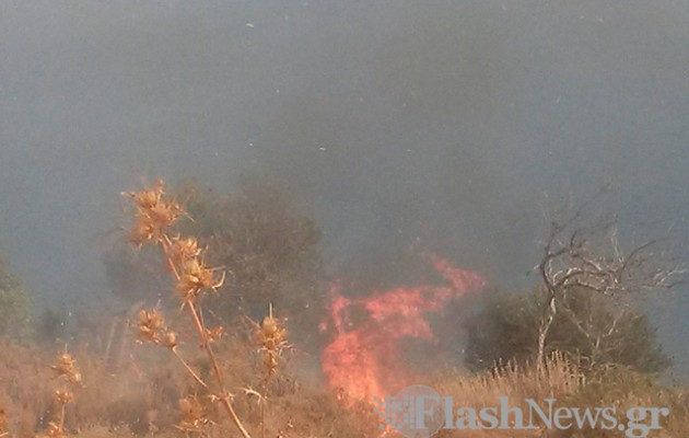 Φωτορεπορτάζ: Μάχη με τις φλόγες στα Χανιά