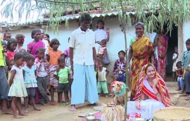 Παντρεύτηκε… σκύλο που της τον διάλεξε ο πατέρας της (βίντεο)