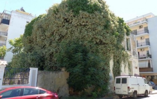 Όταν η φύση “καταπίνει” σπίτια