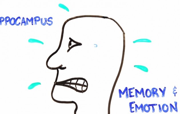 Τι συμβαίνει στο μυαλό ενός ανθρώπου με κατάθλιψη