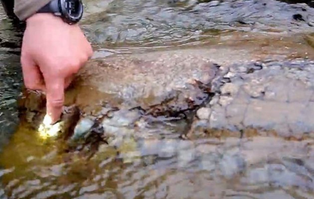 Ανακάλυψαν αρχαίο τέρας σε ποτάμι της Σιβηρίας (βίντεο)