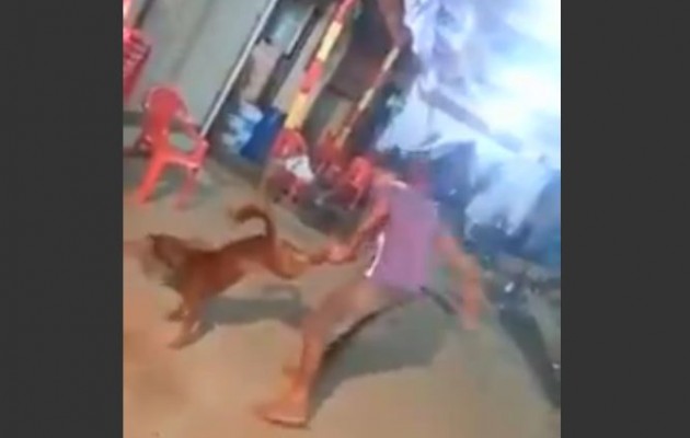 Άνθρωπος – κτήνος βασανίζει σκύλο (βίντεο)