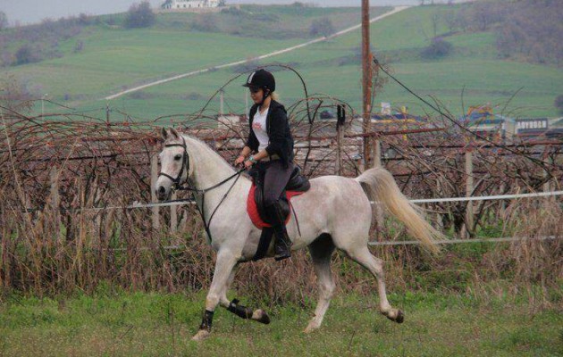 Η Αριάννα Βενιζέλου στην Ολλανδία στο Arabian Stud Europe