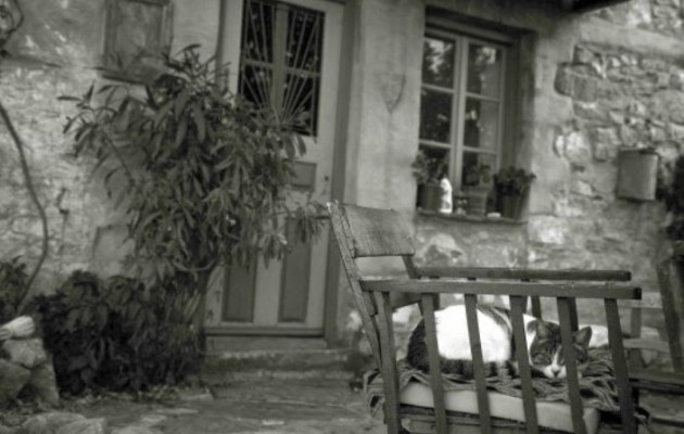 Ήταν νεκρή στο σπίτι της επί μέρες, τη βρήκαν από τη μυρωδιά