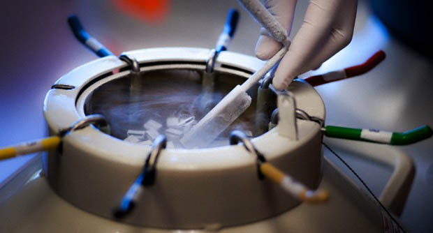 Στον “πάγο” οι γεννήσεις με έξοδα της Apple και του Facebook