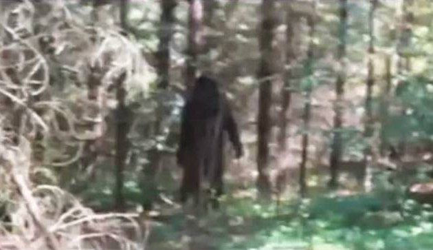 9χρονος φωτογράφισε τον θρυλικό Μεγαλοπόδαρο