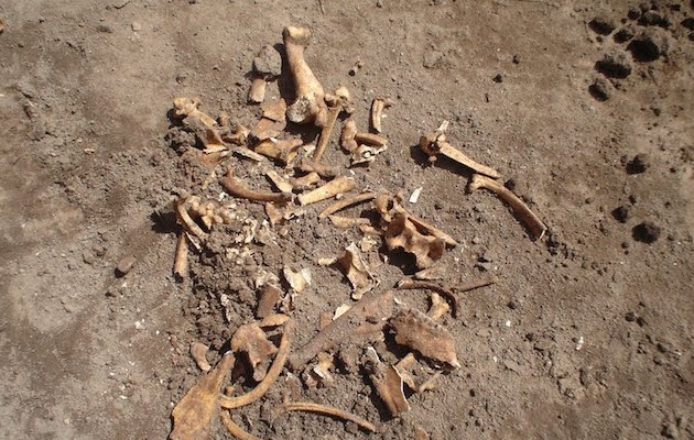 Βρέθηκε σκελετός σε χωράφι στην Κρήτη