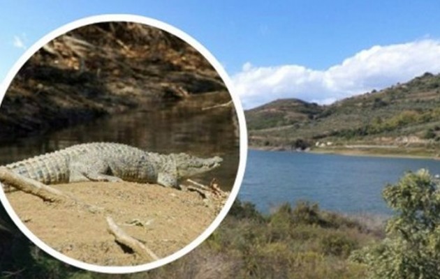 Θα ρίξουν τον σταυρό στη λίμνη με τον Σήφη τον Κροκόδειλο