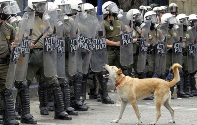 Λουκάνικος: Πέθανε ο θρυλικός σκύλος – αγωνιστής