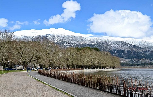Ιωάννινα: άγνωστοι σκότωσαν σκύλο μετά από επίθεση σε κορίτσι