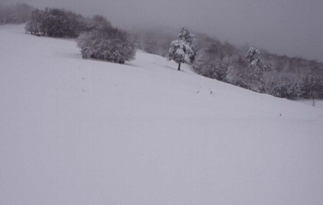 40 εκατ. χιόνι στα ορεινά –  Που θα χιονίσει τις επόμενες ώρες (χάρτης)