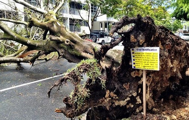 Αυστραλία: Η χειρότερη καταιγίδα της τελευταίας δεκαετίας στο Μπρισμπέιν