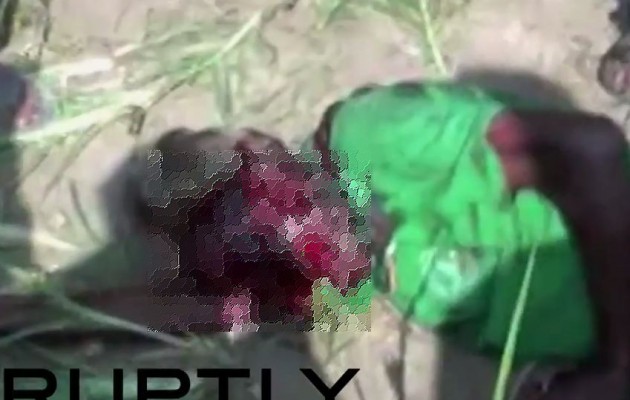 Βίντεο από επίθεση αρκούδας σε χωρικούς (σκληρές εικόνες)