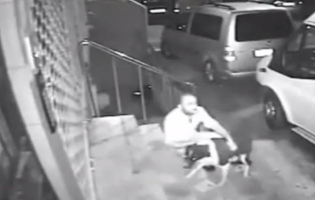 Τουρκία: Το δικαστήριο δέχθηκε να κάνει δίκη στον κτηνοβάτη