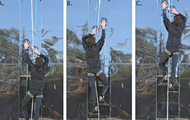 Δημιουργήθηκαν γάντια τύπου Σπάιντερμαν