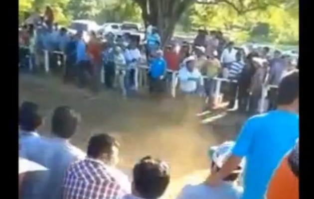 Πήγε να πανηγυρίσει την νίκη του αλόγου του και σκοτώθηκε (βίντεο)