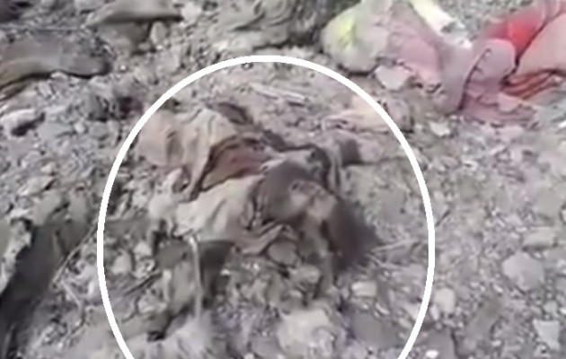 Κομμάτια οι τζιχαντιστές από βόμβα που έπεσε στην Κομπάνι (σκληρό βίντεο)
