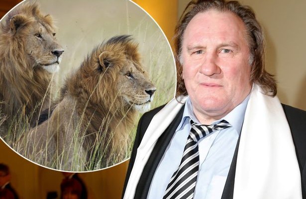 Ζεράρ Ντεπαρντιέ: “Σκότωσα και έφαγα δύο λιοντάρια”