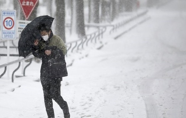 Ιαπωνία: 11 άνθρωποι έχασαν τη ζωή τους από χιονοθύελλα
