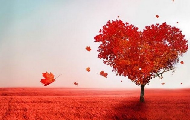 Όλα όσα θέλετε να μάθετε για την ερωτική συναστρία με έναν Ζυγό