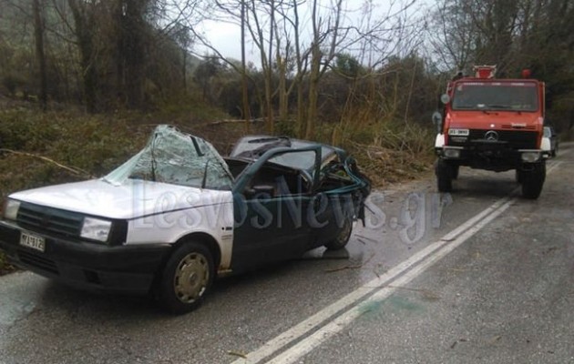 Νεκρή στη Λέσβο από δέντρο που καταπλάκωσε το αυτοκίνητό της (βίντεο)