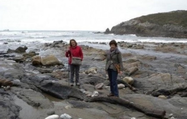 Αποκαλύφθηκε απολιθωμένο δάσος 300 εκ. ετών