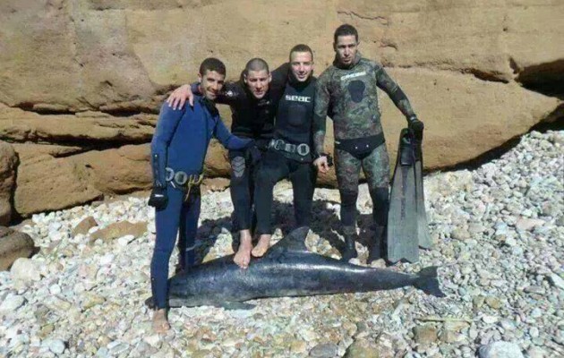 Καταζητούνται δολοφόνοι δελφινιού – Τους γνωρίζετε;
