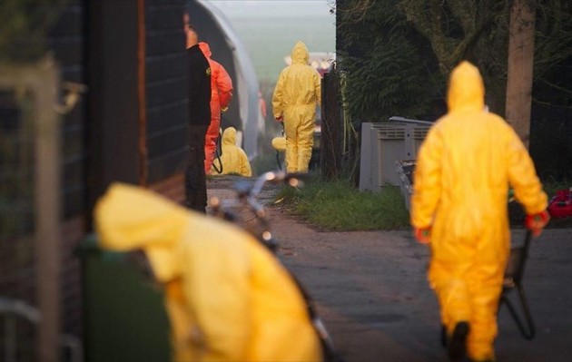 “Ήπια” γρίπη των πτηνών εμφανίστηκε στην Ολλανδία