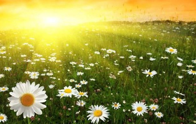 Ηλιόλουστος ο καιρός το τριήμερο της Πρωτομαγιάς