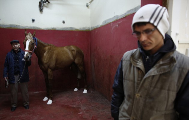 Νοσοκομείο για… άλογα στη Κωνσταντινούπολη (φωτογραφίες)