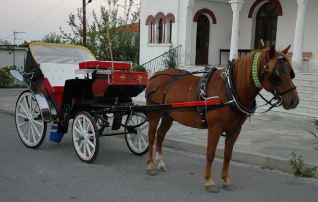 Τραγωδία στο Βόλο: Νεκρό 8χρονο κορίτσι σε τροχαίο με άμαξα