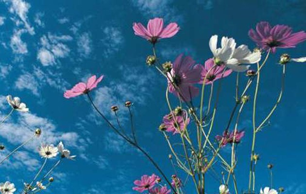 Αίθριος καιρός και μικρή άνοδος της θερμοκρασίας την Πέμπτη