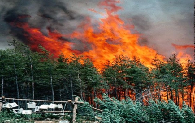 Αυξημένοι οι κίνδυνοι φέτος για πυρκαγιές
