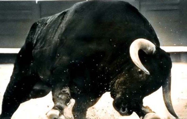 Ταύρος διέφυγε και τραυμάτισε έντεκα ανθρώπους στην Ισπανία