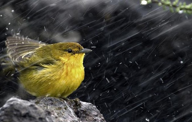 Τα κάνει μούσκεμα ο καιρός: Βροχές και χαλάζι την Πέμπτη