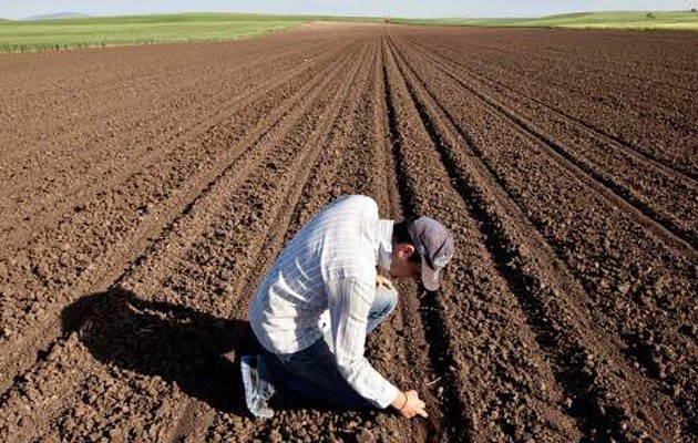ΟΠΕΚΕΠΕ: Γιατί δεν πληρώθηκαν 112.000 αγρότες